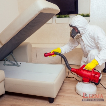 Bed Bug Control
